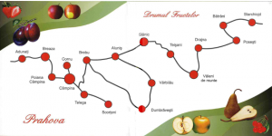 Drumul fructelor Prahova
